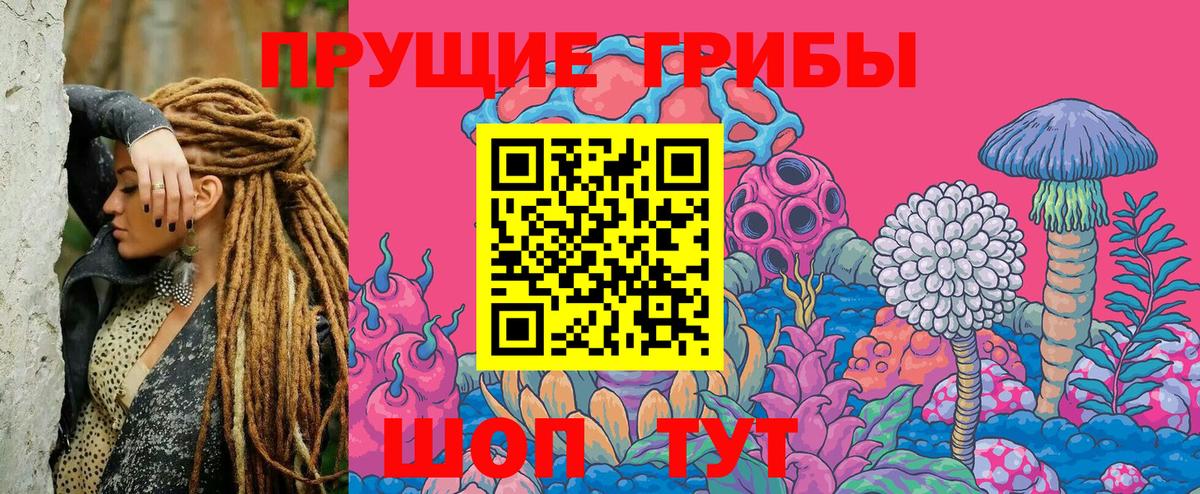 Гатчина  Галлюциногенные грибы прущие грибы  Вход с VPN  Галлюциногенные грибы мицелий 